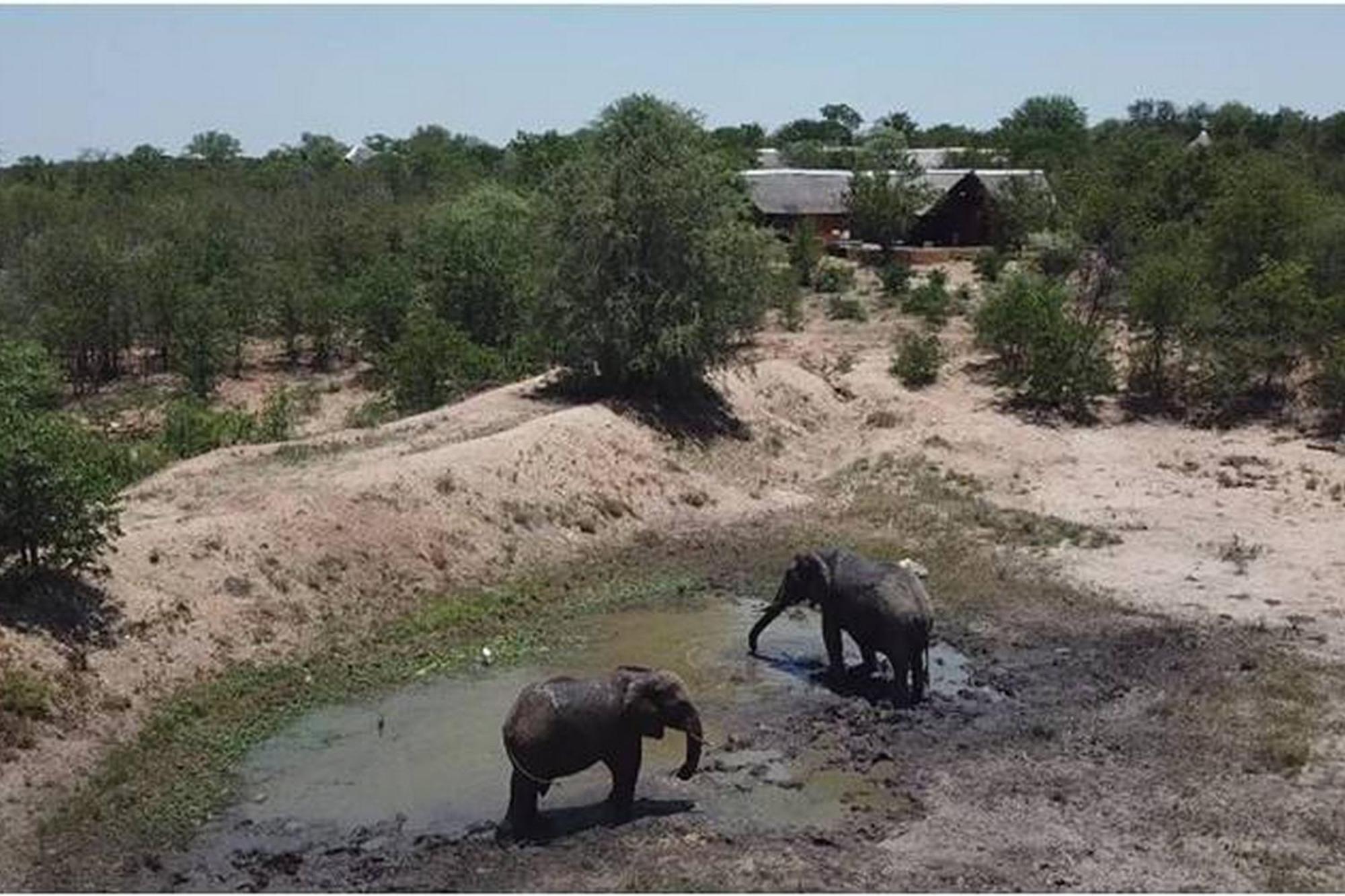 Bushvilla Umoja Kruger Phalaborwa Kültér fotó