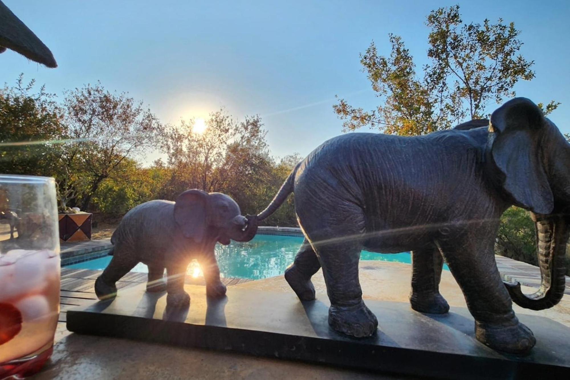 Bushvilla Umoja Kruger Phalaborwa Kültér fotó